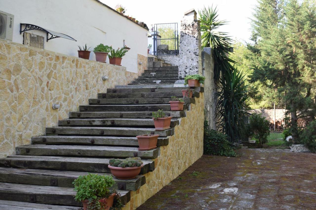 Masseria Convento Novoli Εξωτερικό φωτογραφία